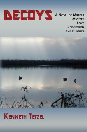 bigCover of the book Decoys by 