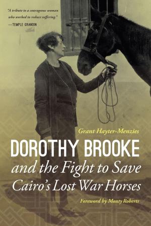 Book cover of Dorothy Brooke and the Fight to Save Cairo's Lost War Horses
