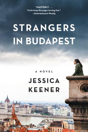 Cover of the book Strangers in Budapest by Lewis Nordan