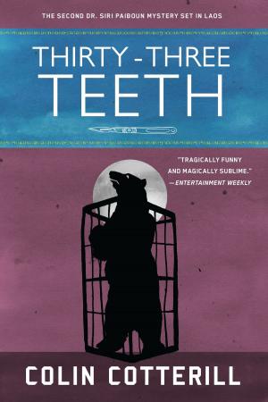 Book cover of Thirty-Three Teeth