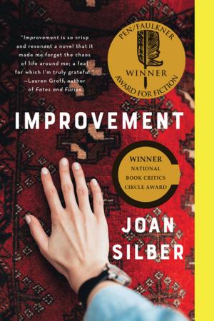 Book cover of Improvement