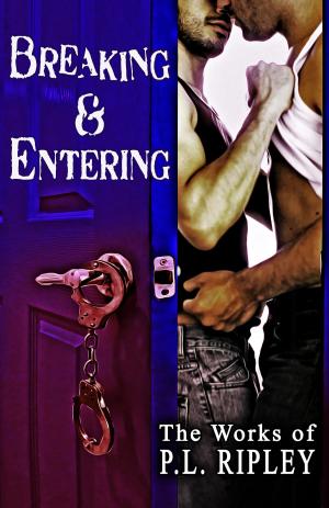 Cover of the book Breaking and Entering by Alicia Cameron