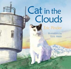 Cover of the book Cat in the Clouds by Mando Rayo, Jarod Neece, Joel Salcido, Dennis Burnett