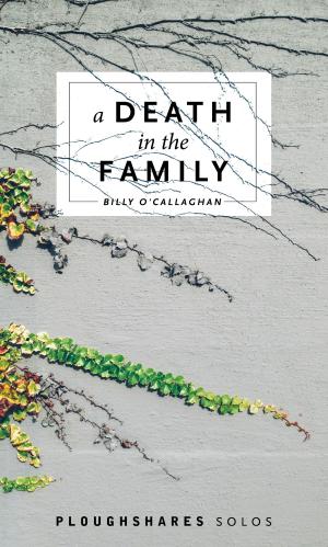 bigCover of the book A Death in the Family by 
