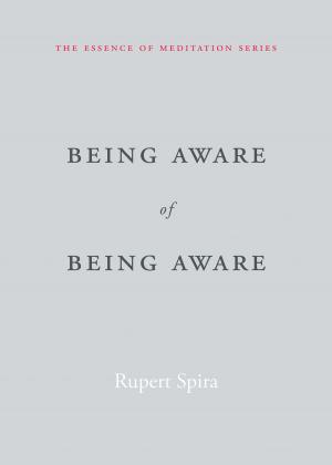Cover of the book Being Aware of Being Aware by Thomas Cash, PhD