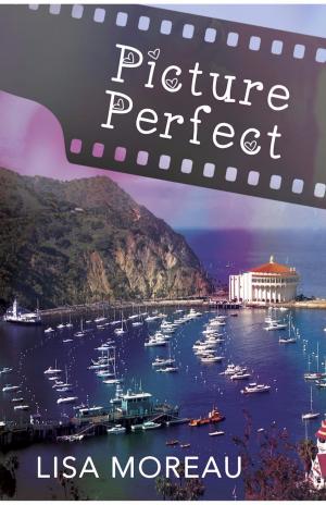 Cover of the book Picture Perfect by Justine Saracen