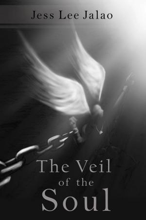 Cover of the book The Veil of the Soul by Gisela Woldenga