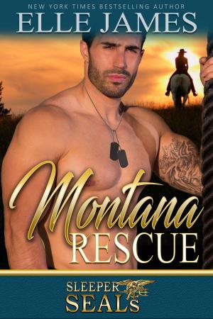 Cover of the book Montana Rescue by Elle James