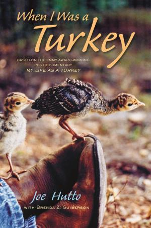 Cover of the book When I Was a Turkey by Elise Broach