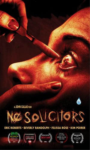 Cover of the book No Solicitors by Robert Lien Pettersen