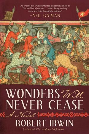 Cover of the book Wonders Will Never Cease by Marjorie Sandor