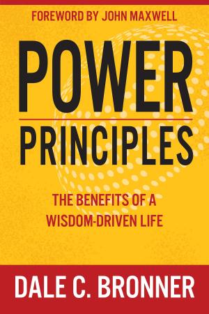 Cover of the book Power Principles by Sharlene MacLaren