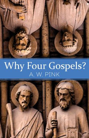 Cover of the book Why Four Gospels? by Melanie Hemry