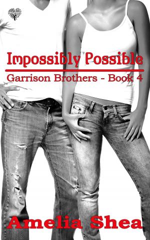 bigCover of the book Impossibly Possible by 