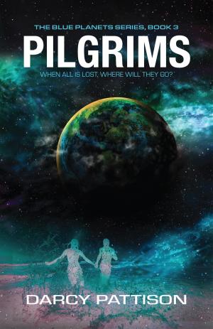 Cover of the book Pilgrims by Darcy Pattison