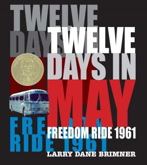 Cover of the book Twelve Days in May by Marty Kaminsky