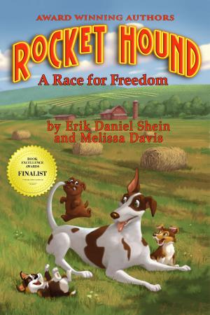 Cover of the book Rocket Hound by S. Evan Townsend