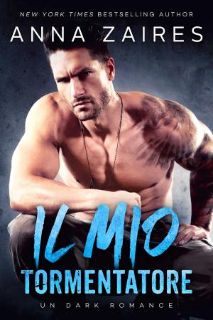Book cover of Il mio tormentatore
