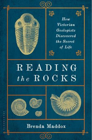 Cover of the book Reading the Rocks by Anna Beer
