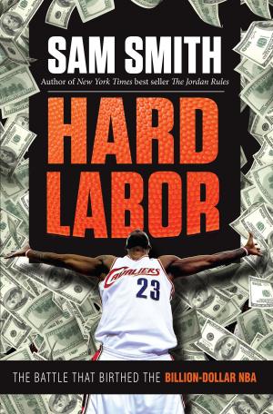 Cover of the book Hard Labor by Steve Kornacki
