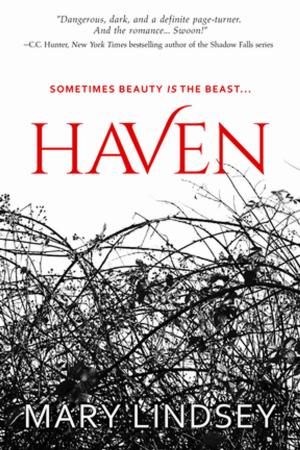 Cover of the book Haven by N.J. Walters