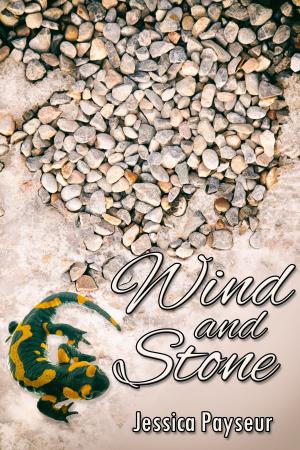 Cover of the book Wind and Stone by J.M. Snyder