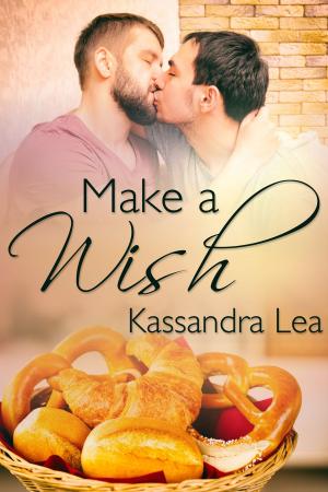 Cover of the book Make a Wish by Vincent Diamond