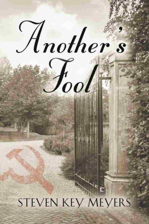 Cover of the book ANOTHER'S FOOL by Batya Ansell