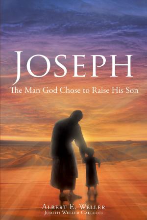 Cover of the book Joseph by Reverend Dr. Maria Goldstein