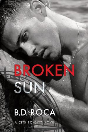Cover of the book Broken Sun by Carole Cummings
