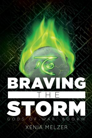 Cover of the book Braving the Storm by J.L. O'Faolain