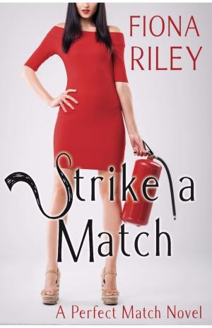 Cover of the book Strike a Match by AJ Quinn
