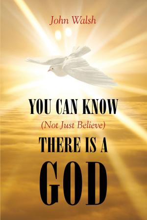 Book cover of You Can Know (Not Just Believe) There is a God
