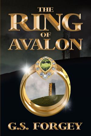 Cover of the book The Ring of Avalon by M. S. Lynch
