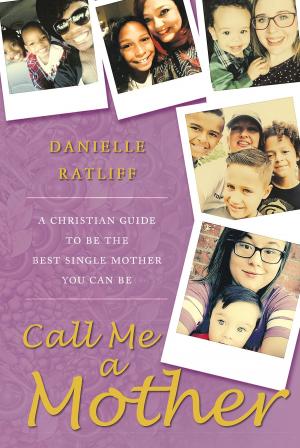 Cover of the book Call Me a Mother by Joseph R. Lange