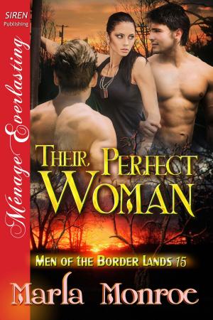 Cover of the book Their Perfect Woman by Maia Dylan