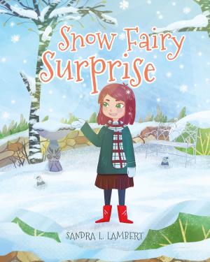 Cover of the book Snow Fairy Surprise by Dwayne O'Keith Burns