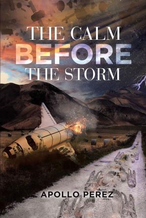 bigCover of the book The Calm Before the Storm by 