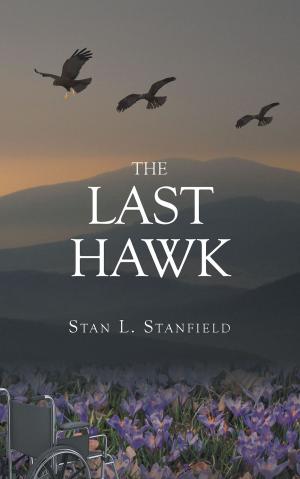 Cover of the book The Last Hawk by Gary B Sgeulaich