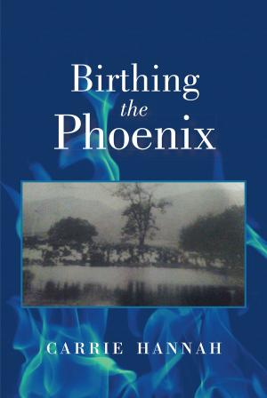 Book cover of Birthing the Phoenix