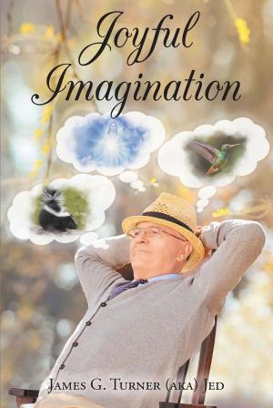 Book cover of Joyful Imagination