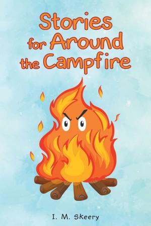 Book cover of Stories for Around the Campfire
