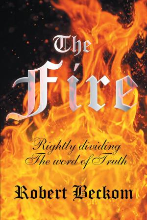 Cover of the book The Fire by Rev. Chris Webb