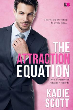 bigCover of the book The Attraction Equation by 
