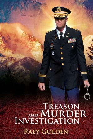 bigCover of the book Treason and Murderer Investigation by 