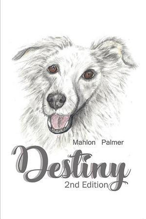 Cover of the book Destiny by Crissa Constantine