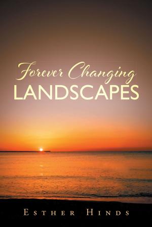 Cover of the book Forever Changing Landscapes by Bianca Grootfaam