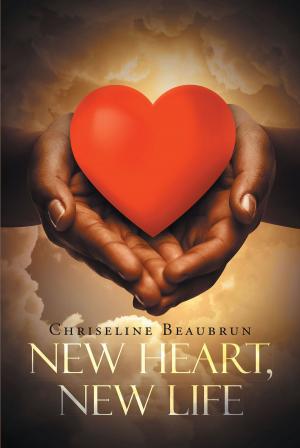 Cover of the book New Heart, New Life by Carrie Pykett