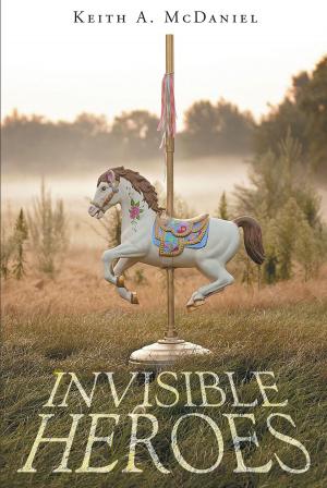 Cover of the book Invisible Heroes by Terri Schroeder