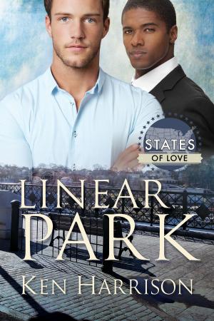 Cover of the book Linear Park by SJD Peterson